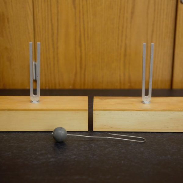 (3B70.10) Coupled Tuning Forks