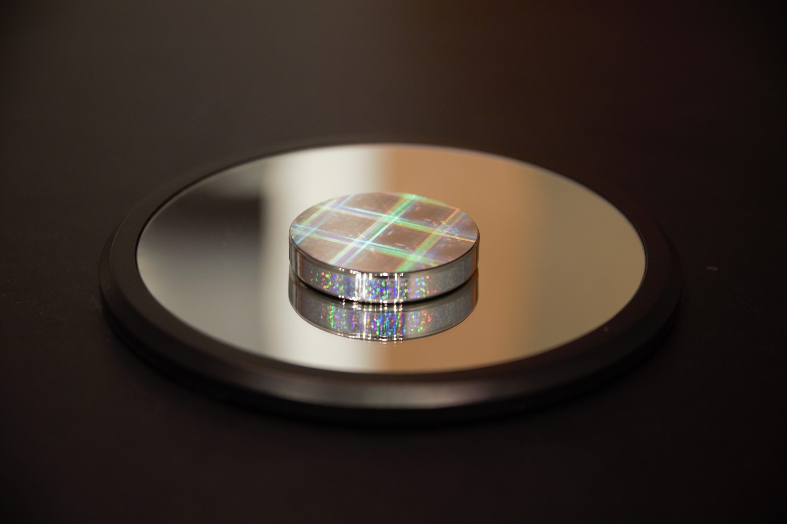 1Q60.25) Euler's Disk – TAMU Physics Lab Center