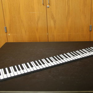 (3D40.19) Rolled up Piano